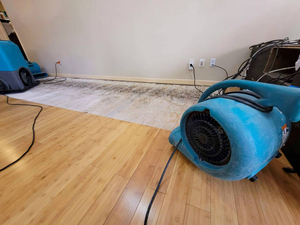 Professional Emergency Water Damage technician working in East Setauket, NY